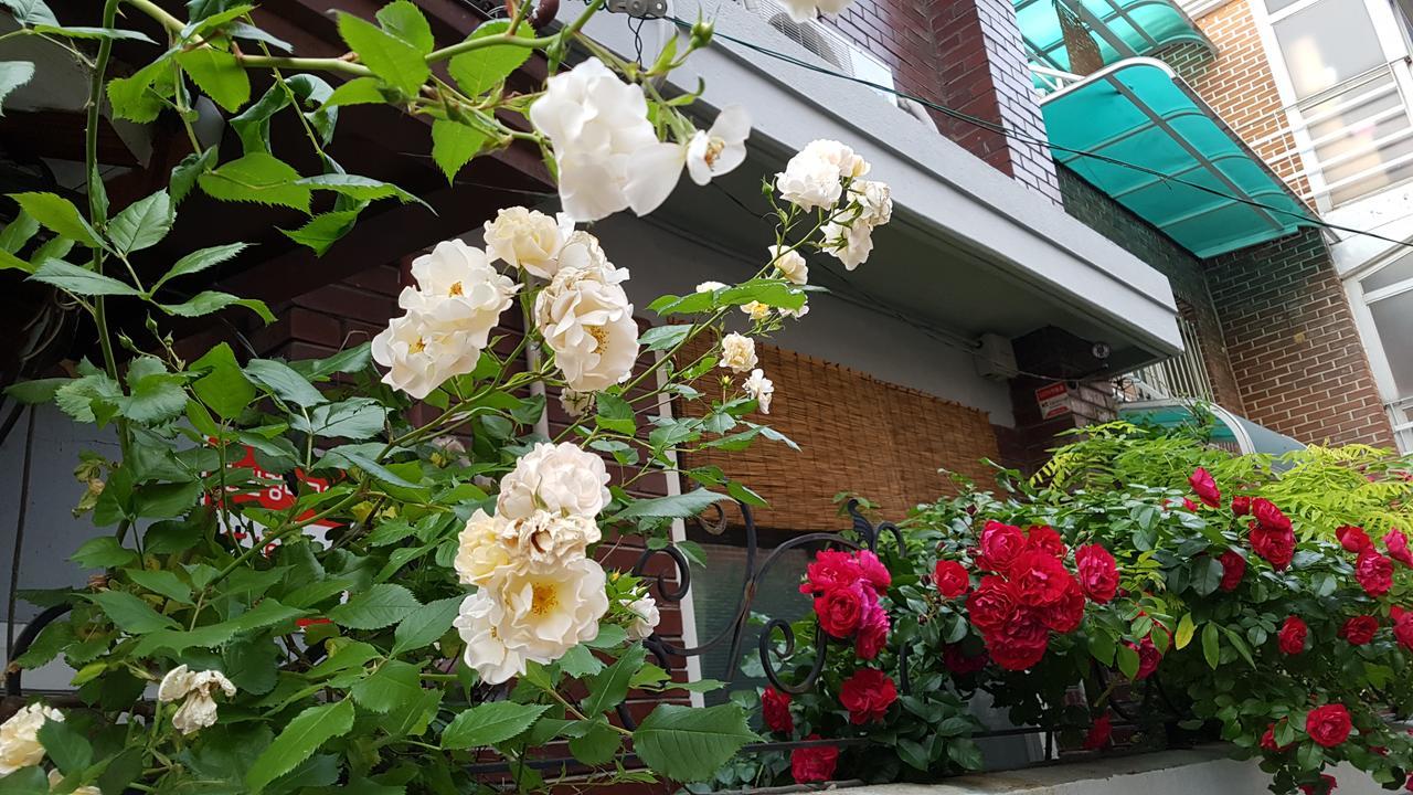 Maison d'hôtes Seochon *